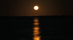 Staircase to the Moon Image